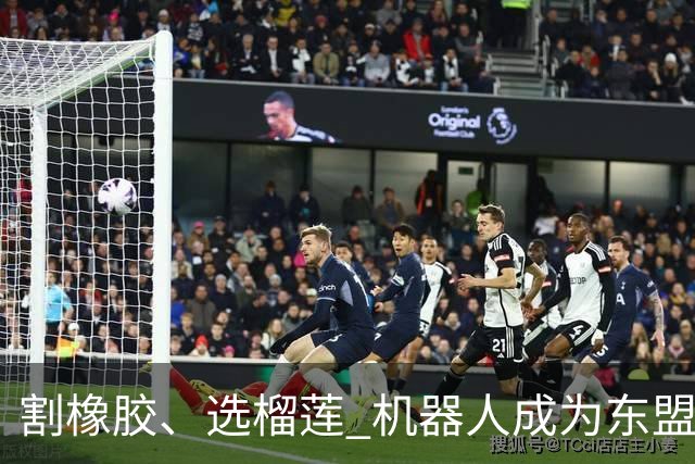 割橡胶、选榴莲 机器人成为东盟市场“新宠” 各国释放明确需求信号